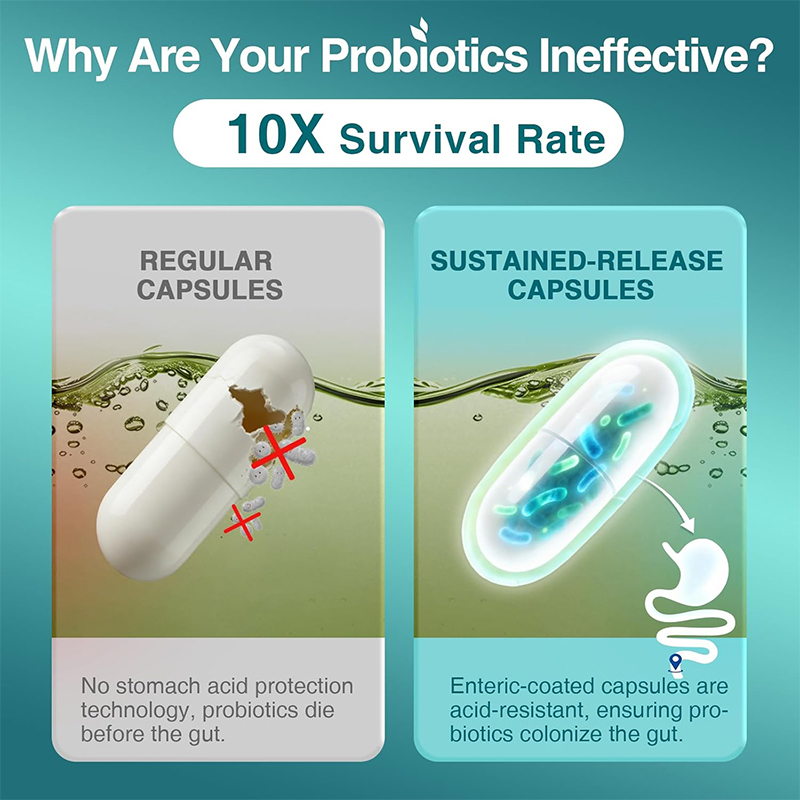 Probiotics for Digestive Healt - Probiotic 60 Billion 评论和价格